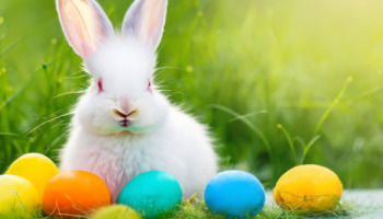 Felices Pascuas: 39 frases para celebrar la fe y la renovación