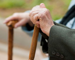 Feliz Día del Adulto Mayor: frases para celebrar su camino