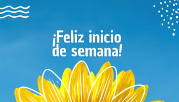 Feliz inicio de semana: frases para desear un excelente comienzo