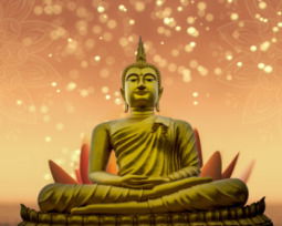 26 frases budistas para la transformación personal