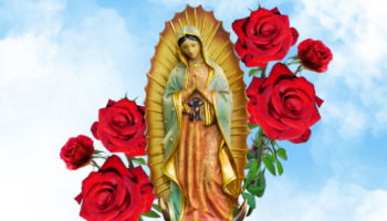 Frases de la Virgen de Guadalupe (palabras de agradecimiento, oraciones y devoción)