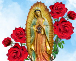 Frases de la Virgen de Guadalupe (palabras de agradecimiento, oraciones y devoción)