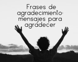 123 frases de agradecimiento para expresar gratitud