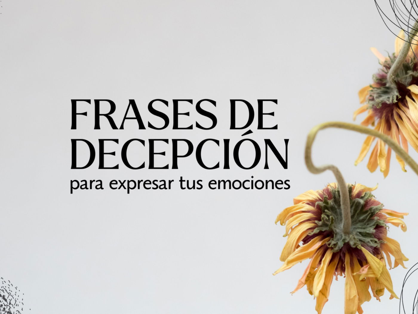 Frases de decepcion de amor - willsccommonplacebook