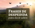 81 frases de despedida que te ayudarán a decir adiós