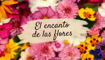 102 frases de flores llenas de belleza y encanto