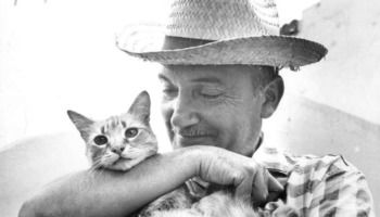 Frases de José María Arguedas que celebran las raíces del Perú