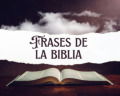 57 frases de la biblia que iluminarán tu camino