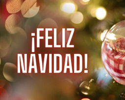 50 frases de Navidad para clientes y empresas llenas de gratitud