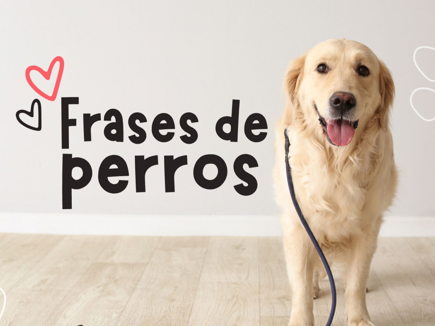 52 frases de perros que valoran el vínculo con sus dueños - Pensador