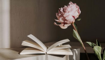 26 frases de Sant Jordi para celebrar el amor, los libros y las rosas