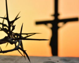 46 frases de Semana Santa que iluminan el espíritu y la reflexión