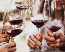 28 frases de vino para brindar por la vida, el amor y la amistad