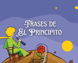 37 frases de El Principito que te enseñarán sobre la vida