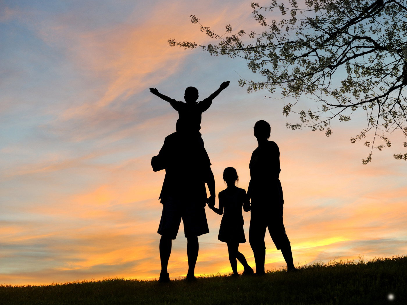 Día Internacional de la Familia: 36 frases que te inspirarán a valorar ...