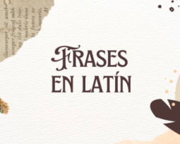 53 frases en latín que enriquecerán tus conversaciones