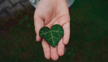 Frases del medio ambiente que despiertan conciencia ecológica