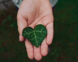 Frases del medio ambiente que despiertan conciencia ecológica