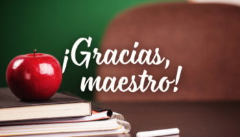 51 frases para maestros que expresan gratitud y reconocimiento