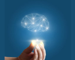 48 frases sobre la mente poderosa para encontrar fuerza diaria