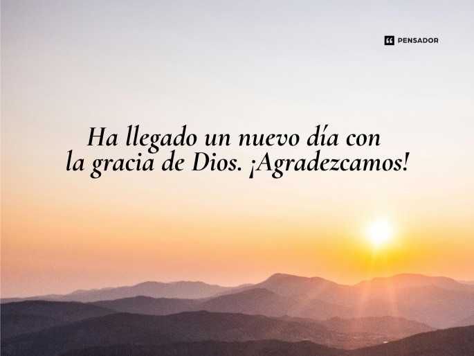 ha llegado un nuevo