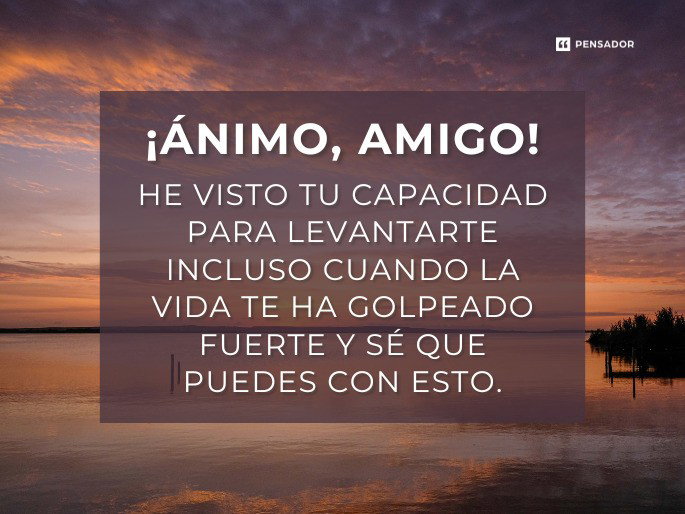 he visto tu