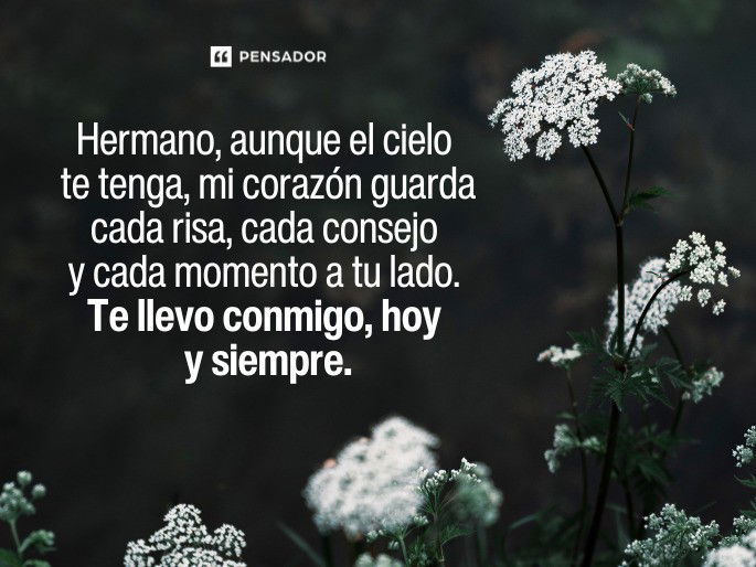 hermano aunque
