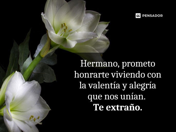 honrarte viviendo