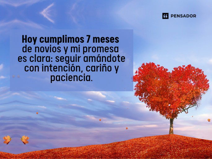 hoy cumplimos 7