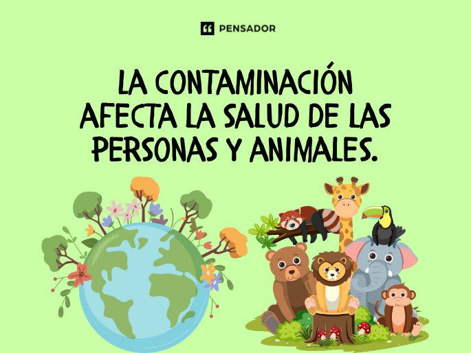 la contaminación afecta