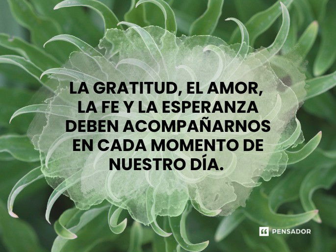 la gratitud el amor