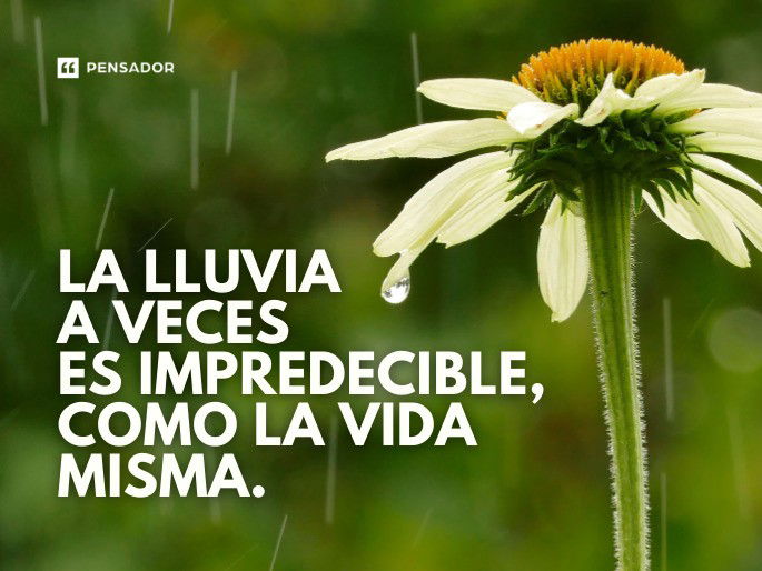 La lluvia a veces es impredecible, como la vida misma.