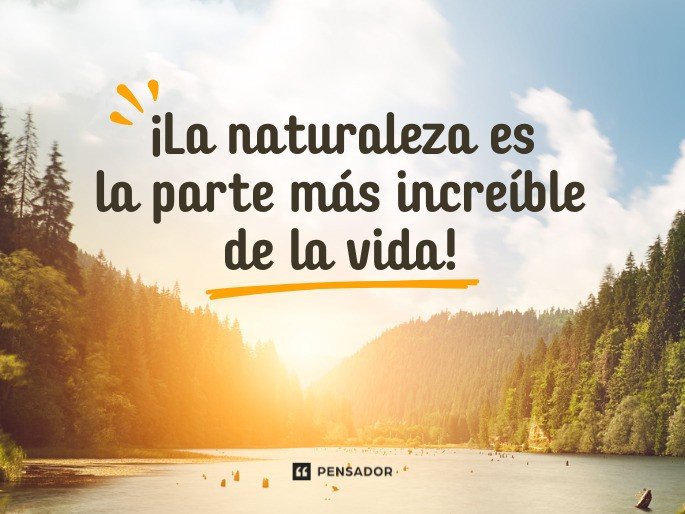 ¡La naturaleza es la parte más increíble de la vida!
