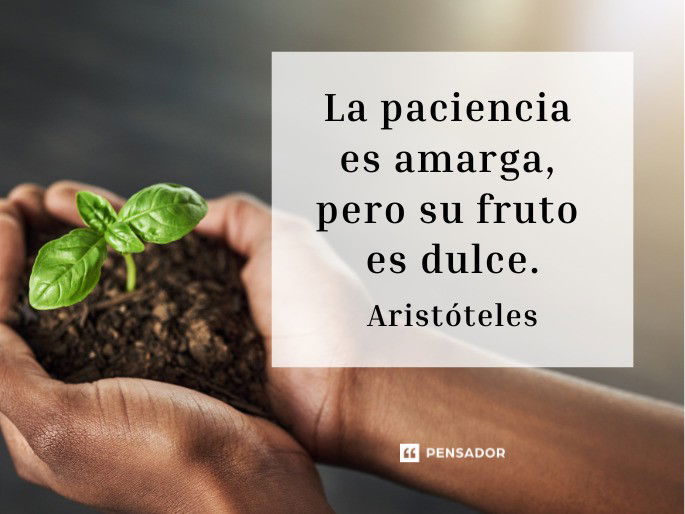 la paciencia es amarga