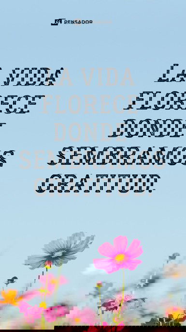 la vida florece