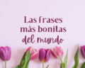107 frases bonitas para iluminar tu día y tu corazón