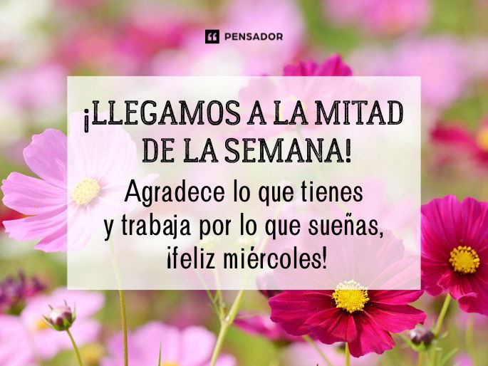llegamos a la mitad