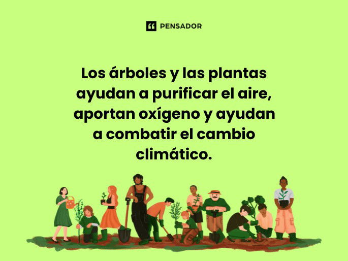 los arboles las plantas