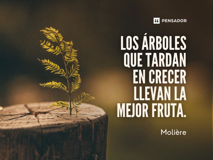 Los árboles que tardan en crecer llevan la mejor fruta. Molière