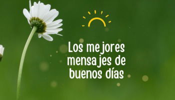 Los mejores 104 mensajes de buenos días 🌞☕