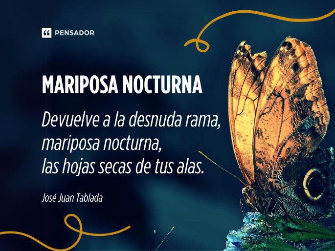 Mariposa nocturna  Devuelve a la desnuda rama, mariposa nocturna, las hojas secas de tus alas.  José Juan Tablada