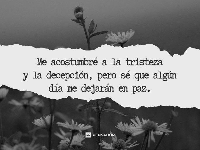 Me acostumbré a la tristeza y la decepción, pero sé que algún día me dejarán en paz.