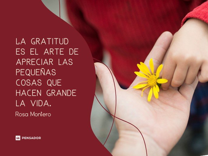 La gratitud es el arte de apreciar las pequeñas cosas que hacen grande la vida. Rosa Montero