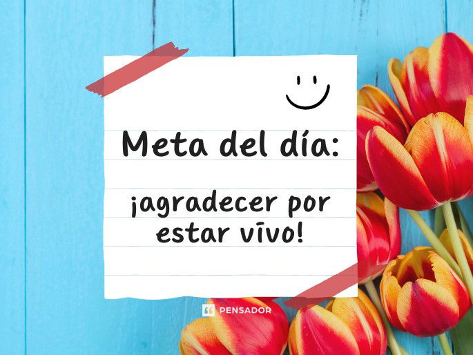 Meta del día: ¡agradecer por estar vivo!