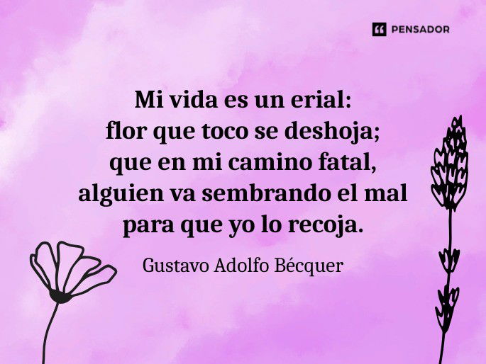 mi vida es un