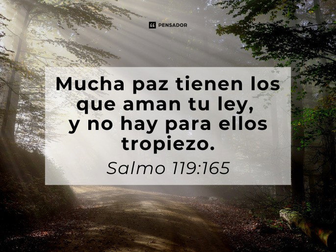 mucha paz