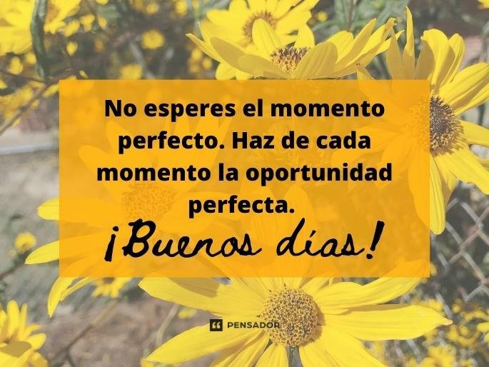 No esperes el momento perfecto. Haz de cada momento la oportunidad perfecta. ¡Buenos días!