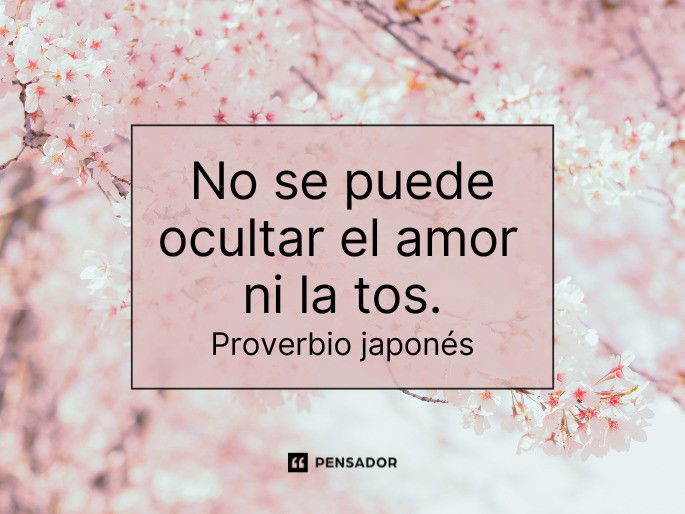 no se puede