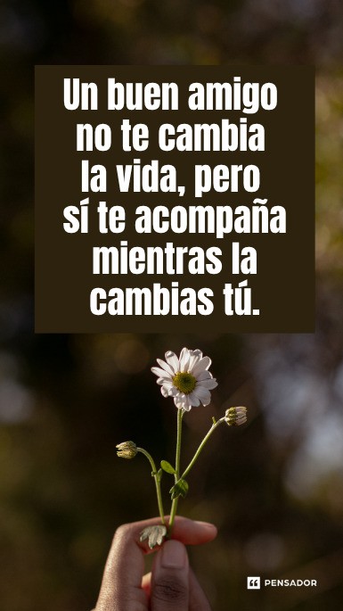 no te cambia