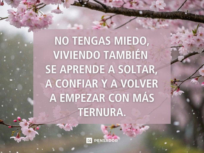 no tengas miedo